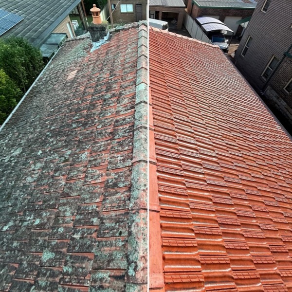 Professional roof cleaning process